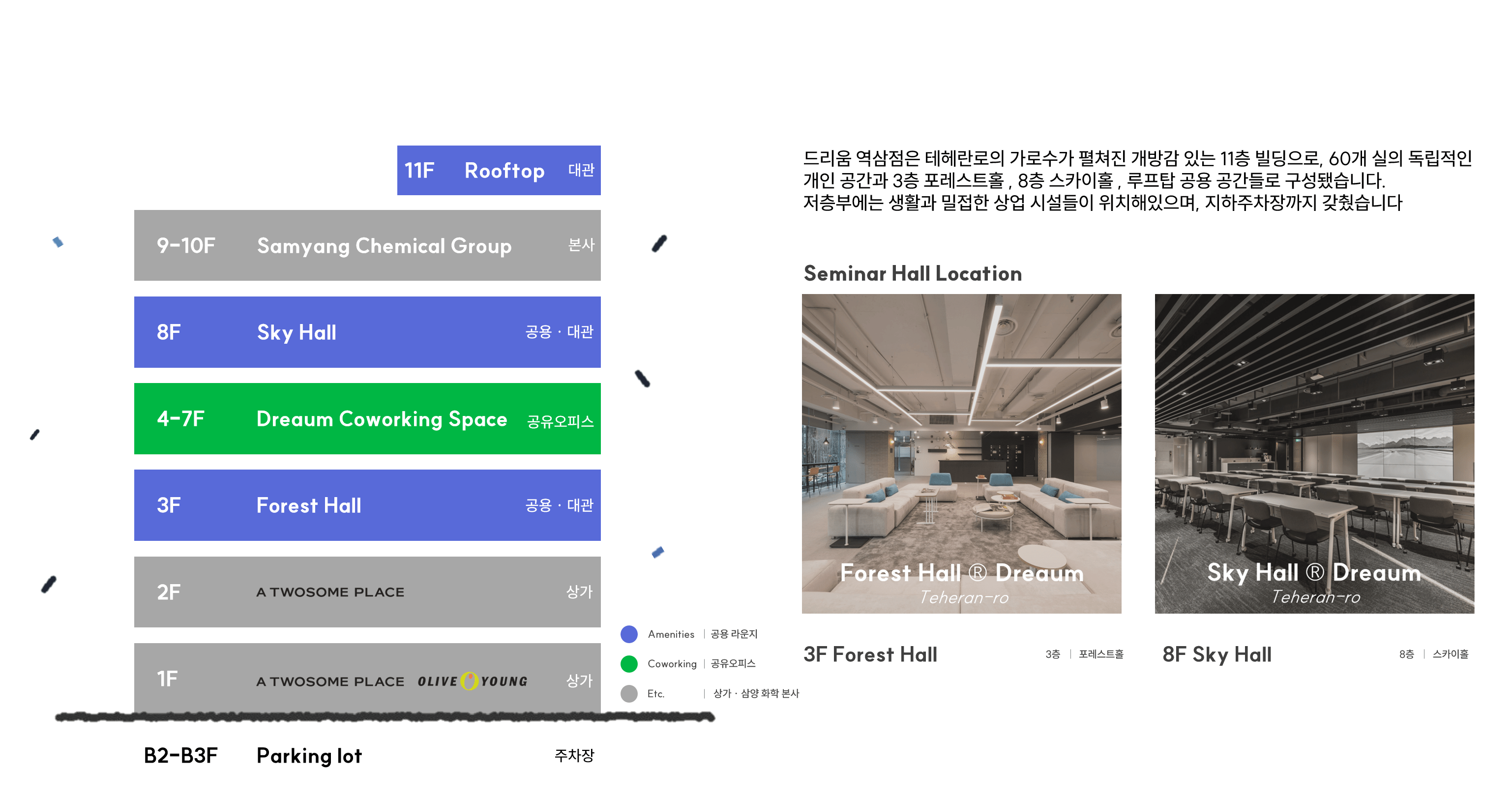 플로르렌